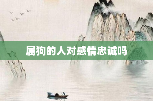 属狗的人对感情忠诚吗
