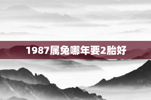 1987属兔哪年要2胎好