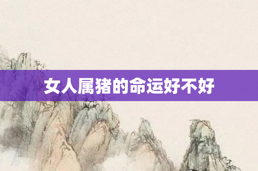 女人属猪的命运好不好