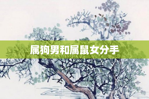 属狗男和属鼠女分手