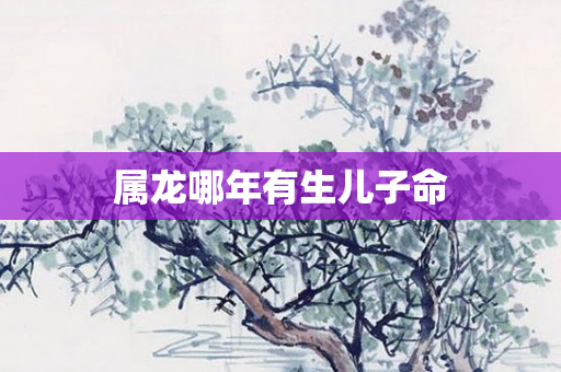 属龙哪年有生儿子命