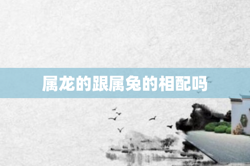 属龙的跟属兔的相配吗