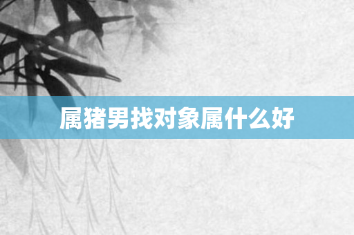 属猪男找对象属什么好