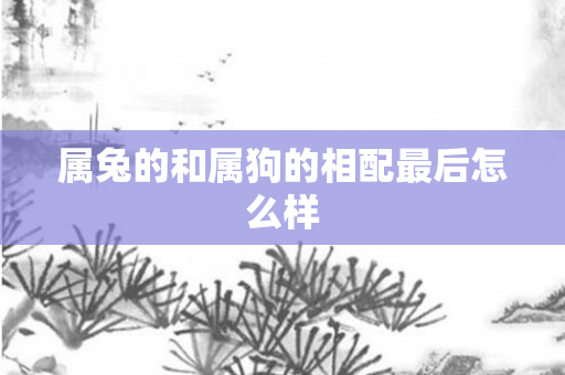 属兔的和属狗的相配最后怎么样