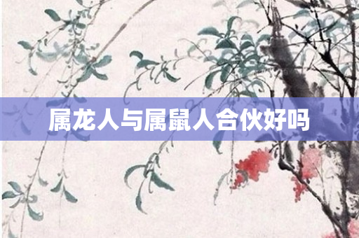 属龙人与属鼠人合伙好吗