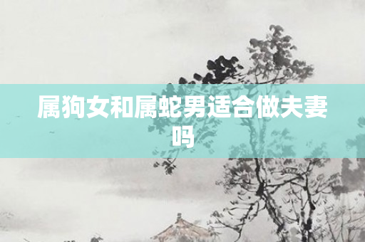属狗女和属蛇男适合做夫妻吗