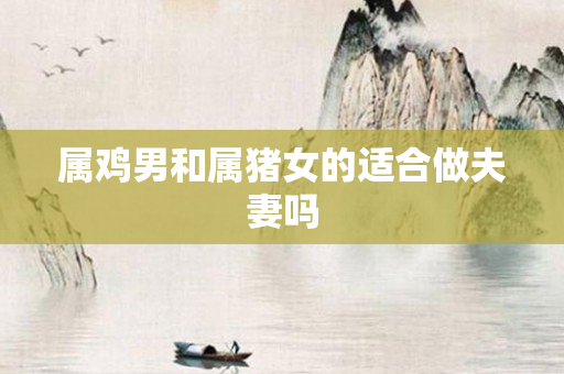 属鸡男和属猪女的适合做夫妻吗