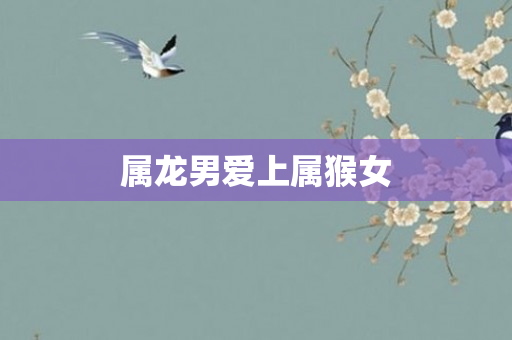 属龙男爱上属猴女