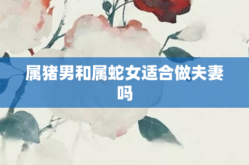 属猪男和属蛇女适合做夫妻吗