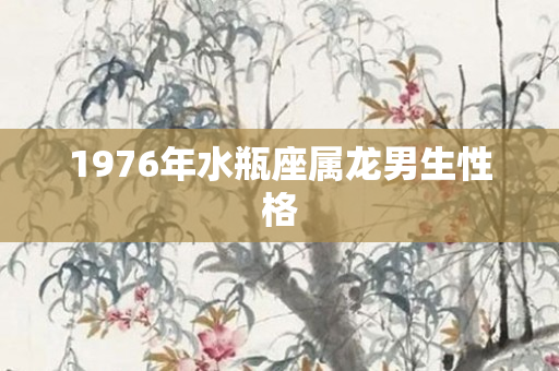 1976年水瓶座属龙男生性格