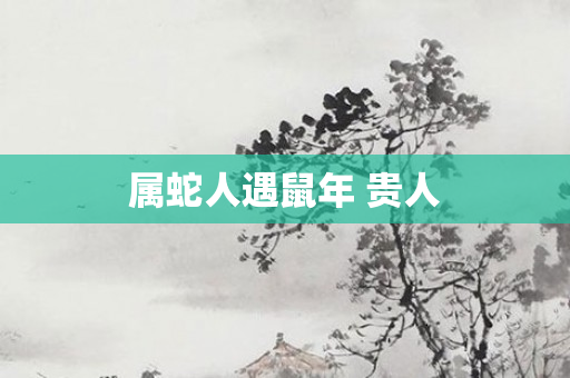 属蛇人遇鼠年 贵人