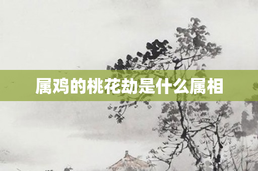 属鸡的桃花劫是什么属相