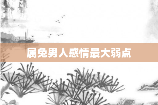 属兔男人感情更大弱点