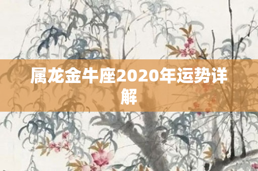 属龙金牛座2020年运势详解