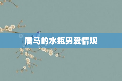 属马的水瓶男爱情观