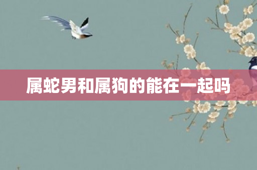 属蛇男和属狗的能在一起吗