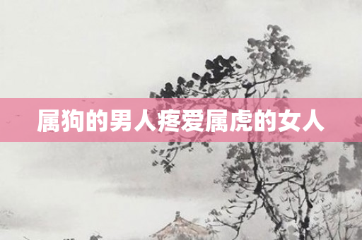 属狗的男人疼爱属虎的女人