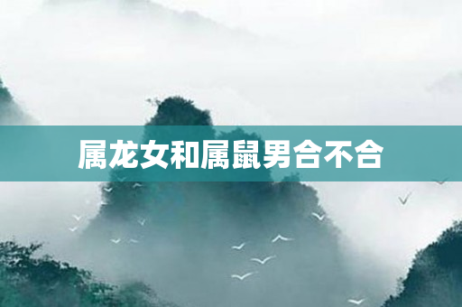 属龙女和属鼠男合不合