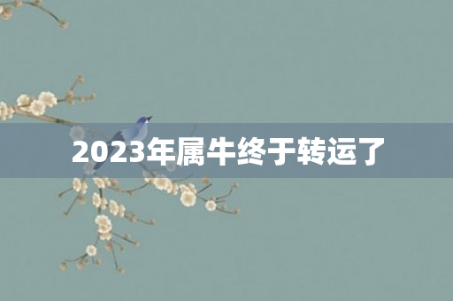 2023年属牛终于转运了