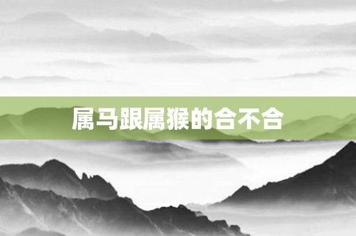 属马跟属猴的合不合