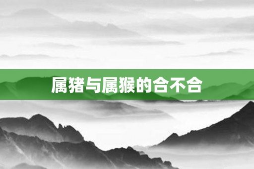 属猪与属猴的合不合