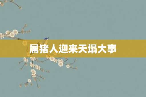 属猪人迎来天塌大事