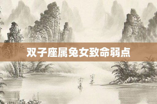 双子座属兔女致命弱点
