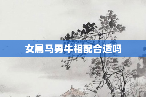 女属马男牛相配合适吗
