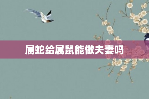 属蛇给属鼠能做夫妻吗