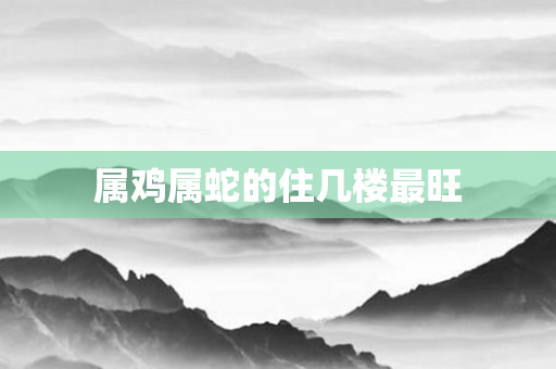 属鸡属蛇的住几楼最旺