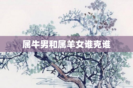 属牛男和属羊女谁克谁