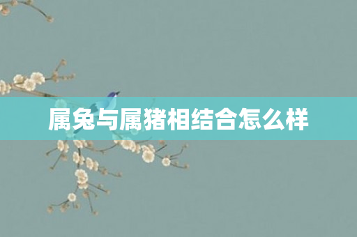 属兔与属猪相结合怎么样