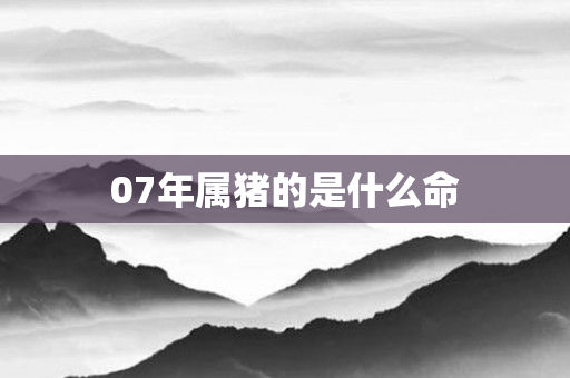 07年属猪的是什么命