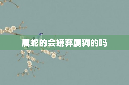 属蛇的会嫌弃属狗的吗