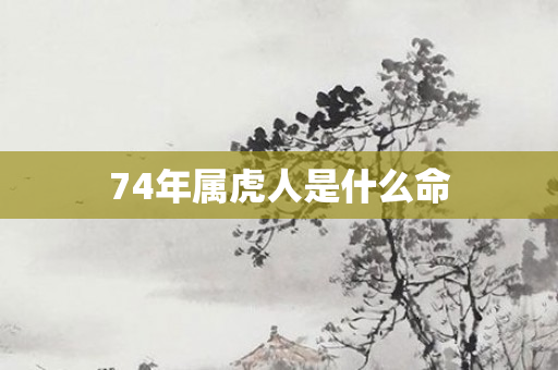 74年属虎人是什么命