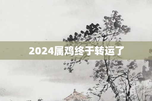 2024属鸡终于转运了