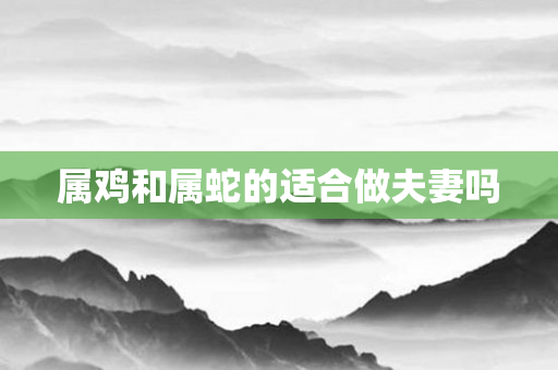 属鸡和属蛇的适合做夫妻吗