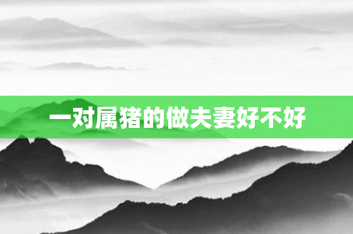 一对属猪的做夫妻好不好