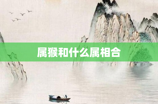 属猴和什么属相合