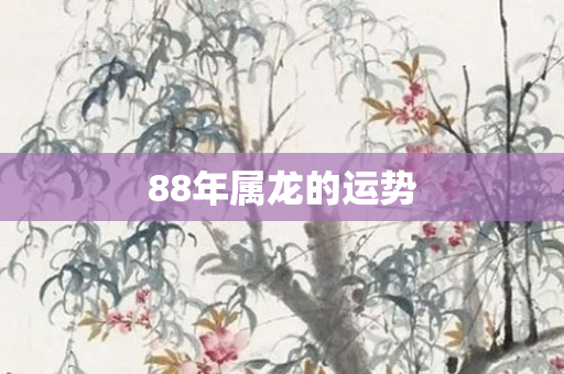 88年属龙的运势