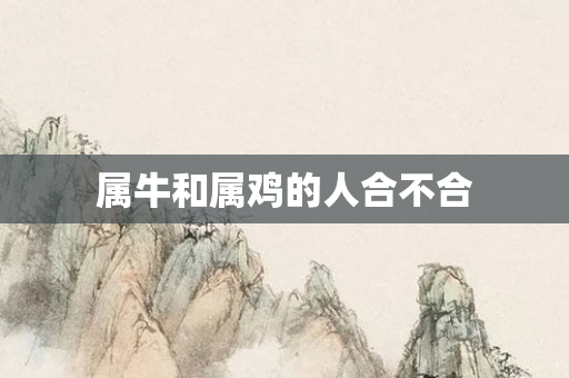 属牛和属鸡的人合不合