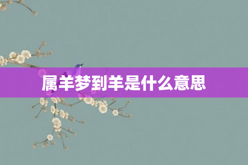 属羊梦到羊是什么意思