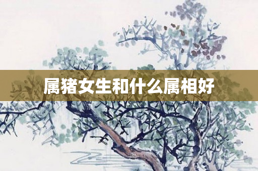 属猪女生和什么属相好
