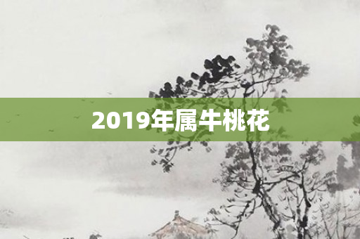2019年属牛桃花