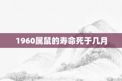 1960属鼠的寿命死于几月