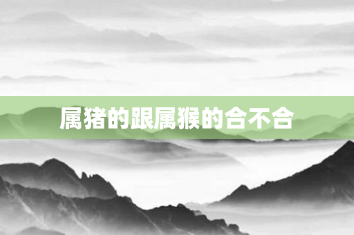 属猪的跟属猴的合不合