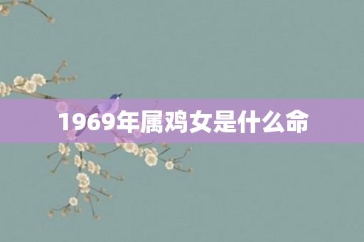 1969年属鸡女是什么命