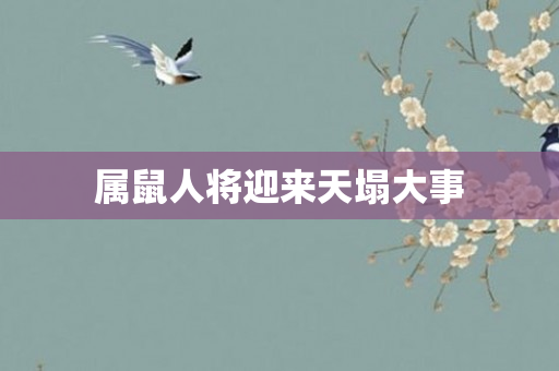 属鼠人将迎来天塌大事