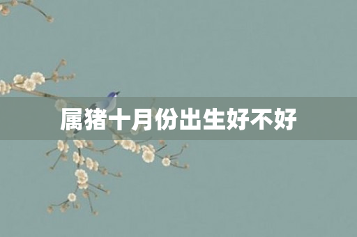属猪十月份出生好不好