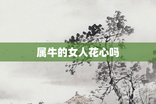 属牛的女人花心吗